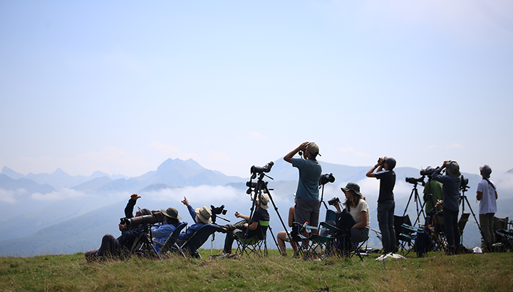 Participez à l’étude de la migration à nos côtés !